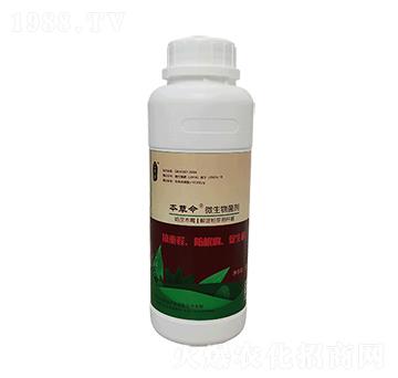 ���������-��ɫʯ�r�I(y��)