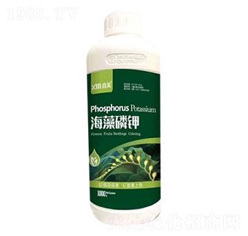 �������-ϲ���r(n��ng)�I(y��)