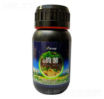 ����Ԫ��ˮ�ܷ���-������-�����f