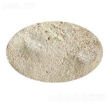 �޴�ѿ�ߗU���ۄ�-��������