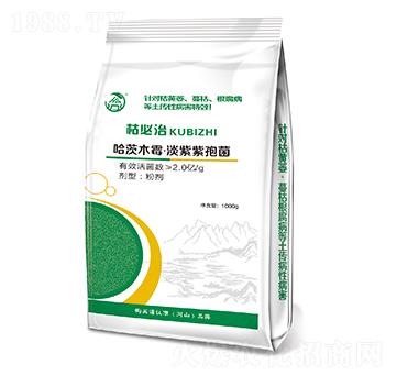 ���/������������-�ݱ���-��ʢ��ɽ