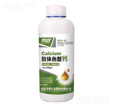 �z�w�~(y��)з�}-����-�S���ʘI(y��)