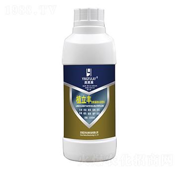 ��������ˮ�ܷ���-ֲ���S-���A����