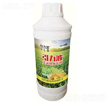 500ml���ׇ�ʩ���������Ƅ�-������-���r(n��ng)����