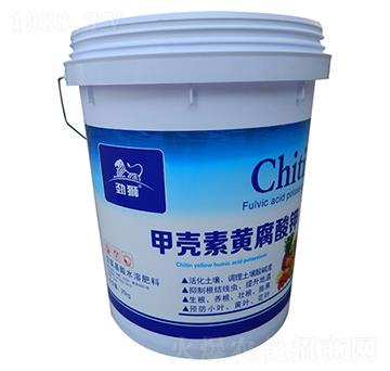 �ך����S�����-�Ū{-��������