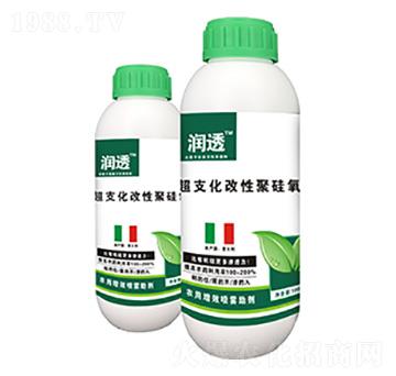 ��͸-��(y��u)��˼