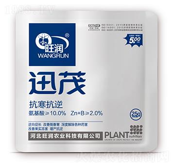 ��������-Ѹï-����(r��n)�r(n��ng)�I(y��)