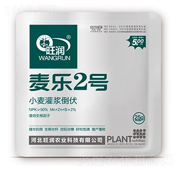 С�����{����-����(l��)2̖(h��o)-����(r��n)�r(n��ng)�I(y��)