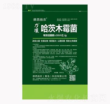 ����ľù��-����-�����P�r