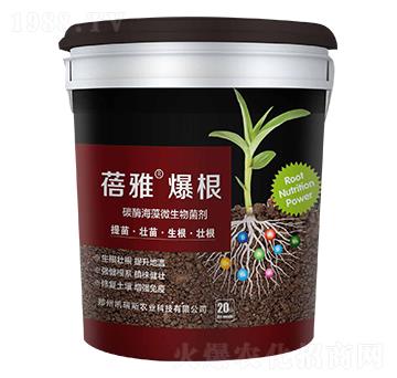 ̼ø����΢�������-��