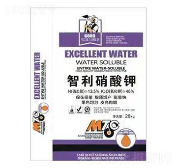 ���������-�����o(j��)�ʘI(y��)