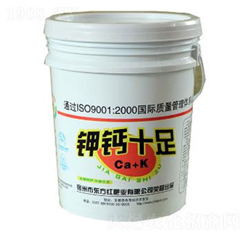 ��}ʮ��-�|���t