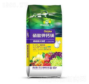 21%������}�V��-��һ����