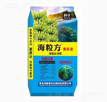 ����������ȫ�ܷ�-����(l��)��-��(r��n)�º���