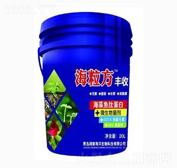 �����~(y��)�ĵ���-������-��(r��n)�º���