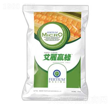 �����N��-�����A�G-������