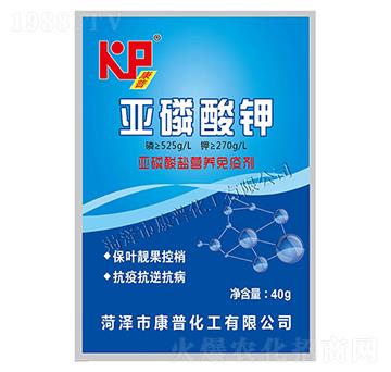 ������⛠I(y��ng)�B(y��ng)���߄�-���ջ���