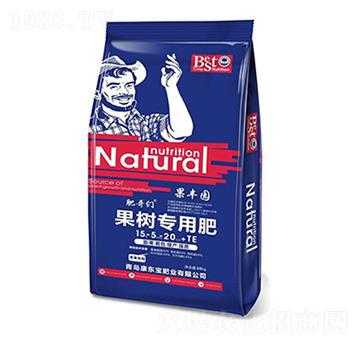 ����(sh��)��(zhu��n)�÷�15-5-20+TE-��֦��-���|��