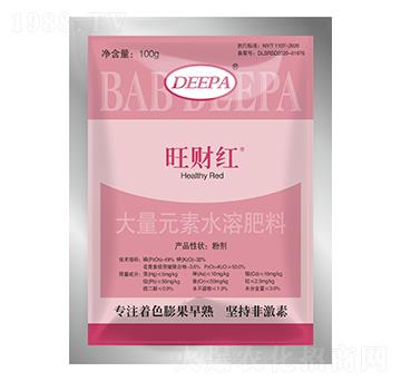 100�~���-��ؔ(c��i)�t-����ؐ