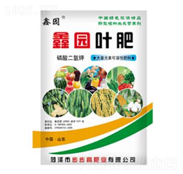 �Έ@�~��-�Έ@-������