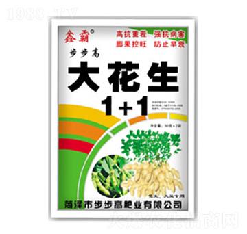 ����1+1-������-