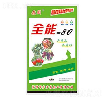 ȫ��80-�Έ@-������