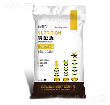 ������-�W�Z��