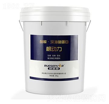 ø����~����-����(d��ng)��-����������