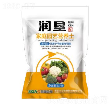 ��ͥ�@ˇ�I�B(y��ng)��-����-���A����