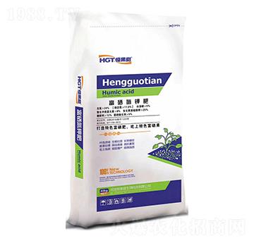 ������⛷�-�����