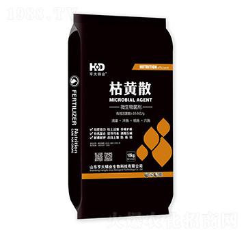 ΢�������-���Sɢ-����\�I(y��)