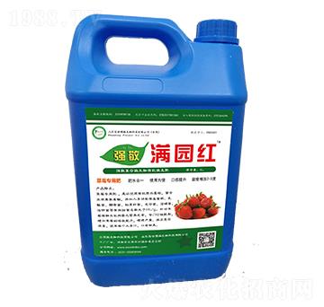 �M�@�t-����-������