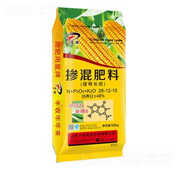 ����LЧ�������26-12-10-����-�d�l(f��)�ʘI(y��)