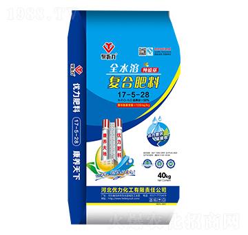 ������ͺϷ���17-5-28-�ۃ�(y��u)��-��(y��u)������