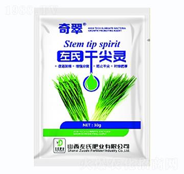 �ɼ��`-���-���ϷʘI(y��)