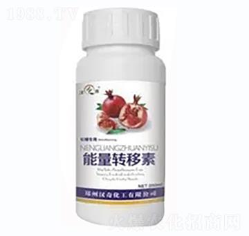 ʯ�������D(zhu��n)����-�h�滯