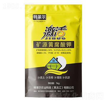 �VԴ�S�����-���R��