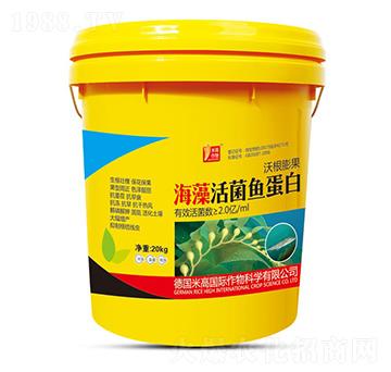 �������~����-ʥ�ϝ�