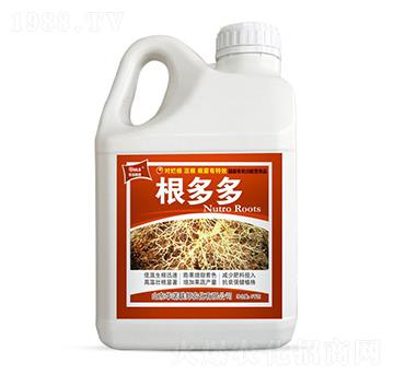 5kg�����-ʥ�ϝ�