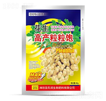 �����߮a(ch��n)�����-ʥ�ϝ�(r��n)