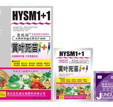 �S�~����1+1-ʥ�ϝ�(r��n)