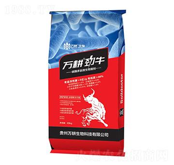 ̼ø����΢�������-�f(w��n)����ţ-�f(w��n)������