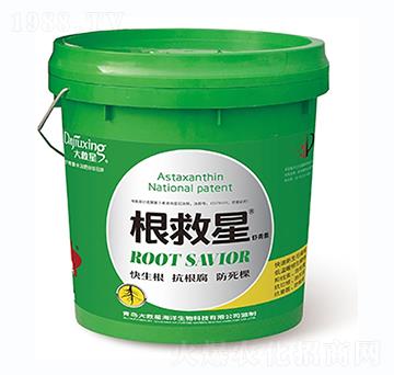 ������-�����