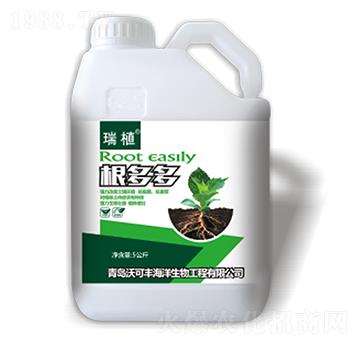 ����ࣨ5���-�ֿ�