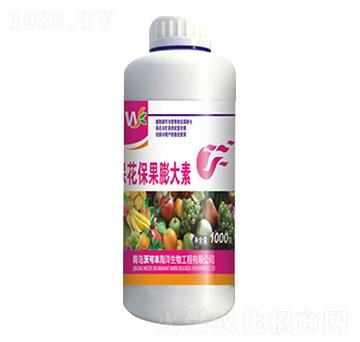 �������������-�ֿ��S