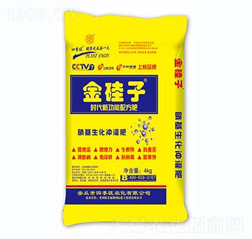 ���������_���-�����