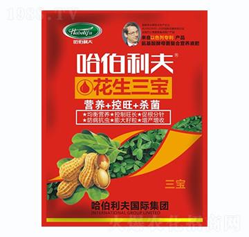 ��������-��������