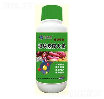 ���K�o�����-˹���D-�|�|�r(n��ng)�I(y��)