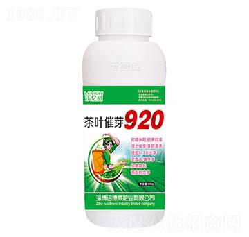 ���~��ѿ920-�Z����