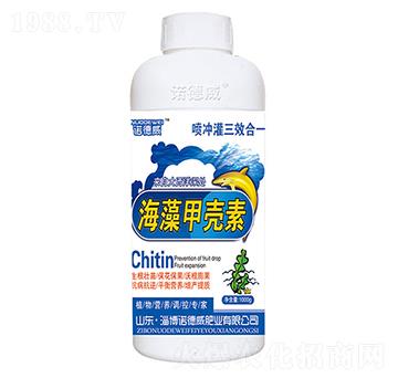 ����ך���-�Z����